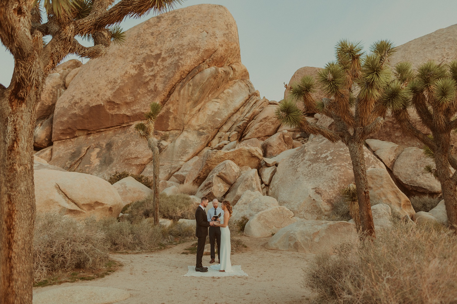 a bride and groom getting married at sunrise in joshua tree national park