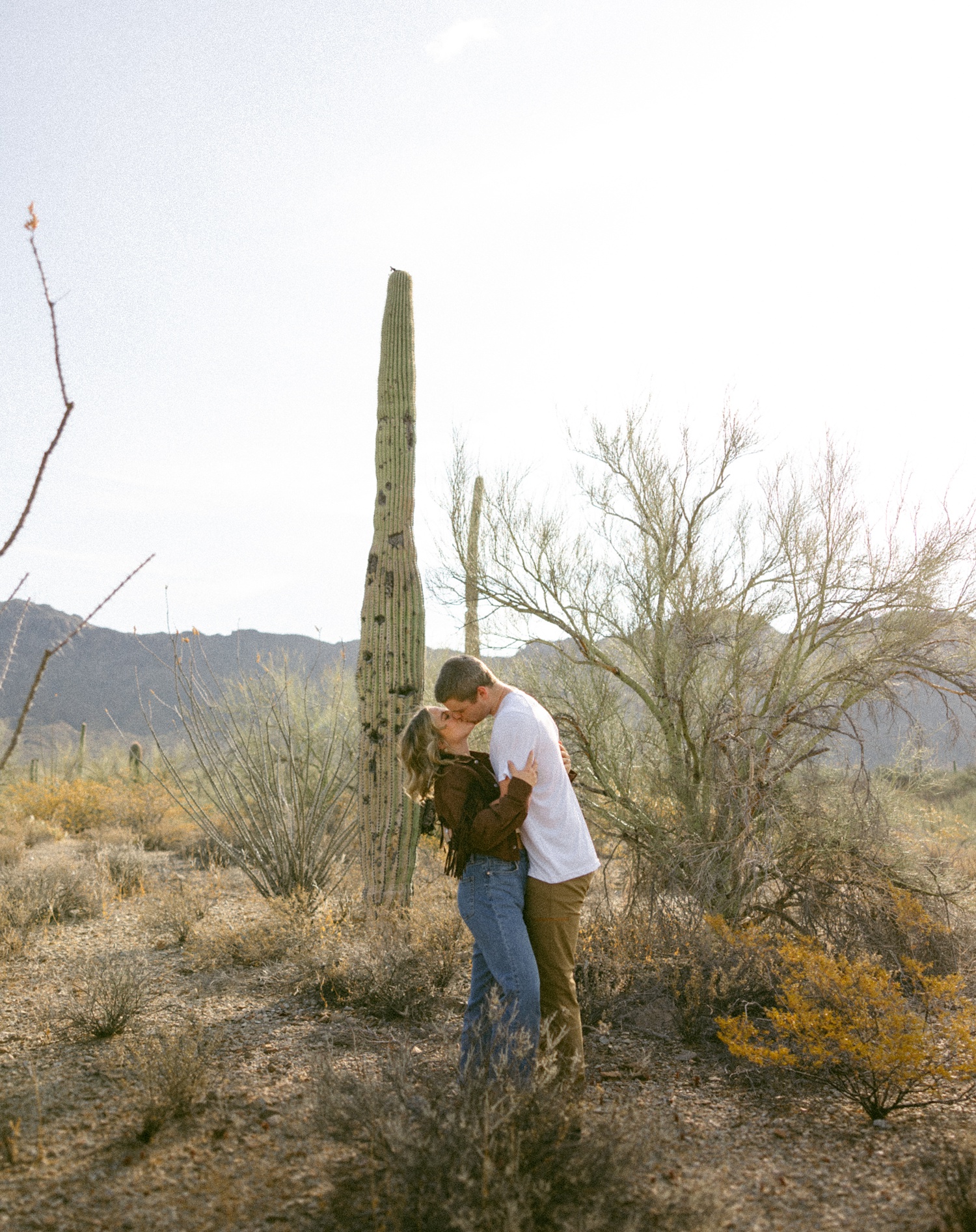 a couple kissing in front of a Saguaro Cactus at Tucson Mountain Park for engagement photos